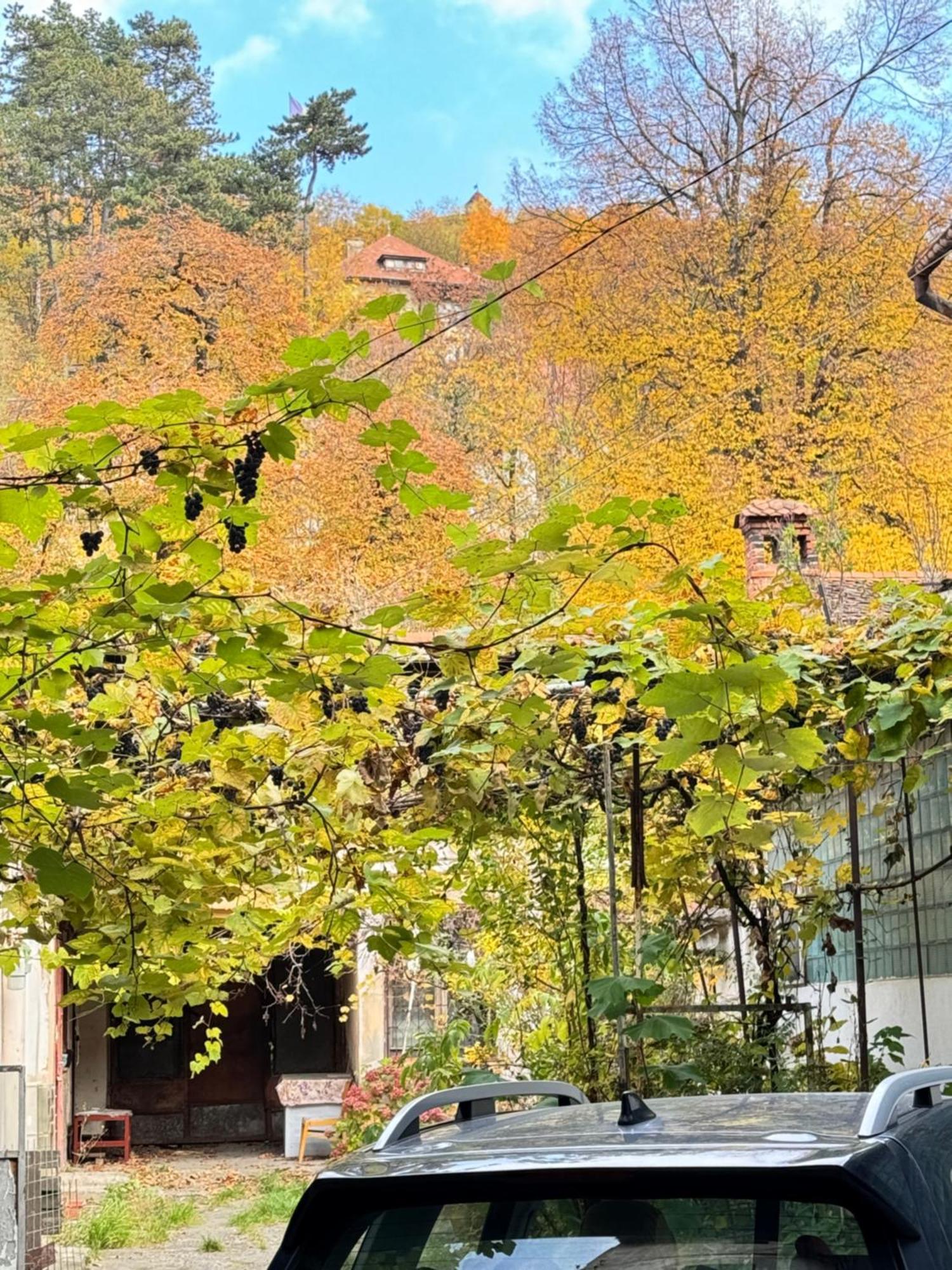 Villa Casa Ming Brașov Exterior foto